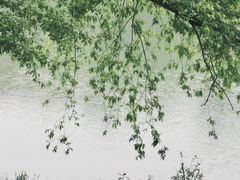 -贡湖湾湿地公园