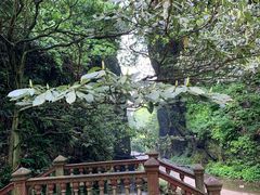 -夏霖九天银瀑风景区