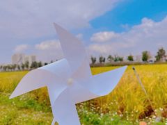 -光明小镇欢乐田园