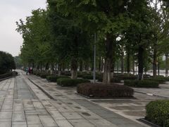-百林公园-两江幸福广场