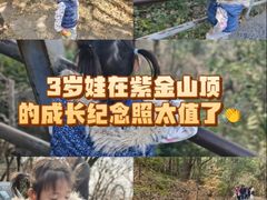 -紫金山山顶公园