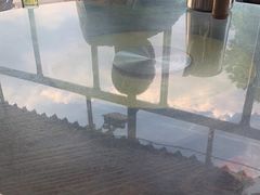 -八仔大富楼·河鲜(西江店)