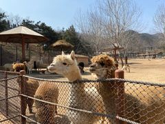 -大连森林动物园