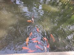 -豫园