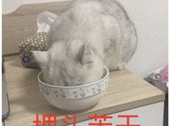 -小李子油焖大虾(南浦店)