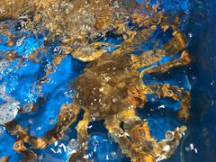 -帝皇海海鲜豆捞(桐泾商务广场店)