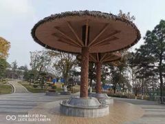 -铁山坪森林公园