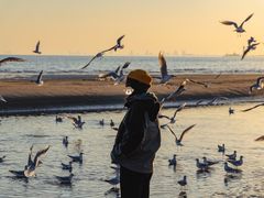 -老虎石海上公园