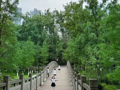 -重庆彩云湖湿地公园