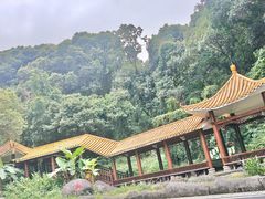 -广州市帽峰山景区