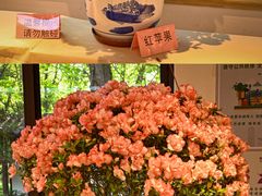 -汇龙潭