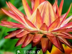 -海淀公园
