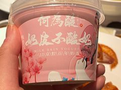 手工奶皮子酸奶-大鸭梨烤鸭(广安门甄选店)