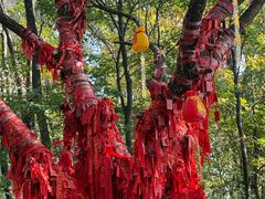 -五女峰国家森林公园