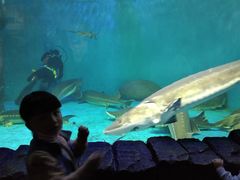 -多彩贵州城极地海洋世界