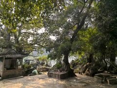 -扬美古镇景区