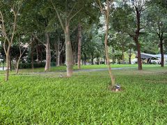 -南山文体中心-游泳馆