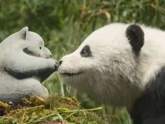 -金逸影城(大悦城IMAX激光店)