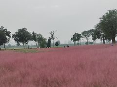 -汉长安城未央宫国家考古遗址公园