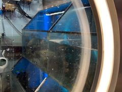 -鱼酷活鱼烤鱼(沈阳大悦城店)