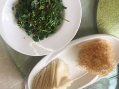 -丁老爷子苏香圆
