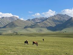-新疆那拉提国家旅游度假区