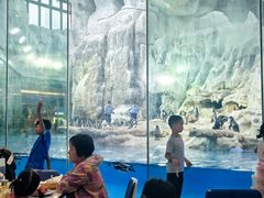 -帝企鹅自助餐厅•儿童岛•真企鹅(长隆企鹅酒店)