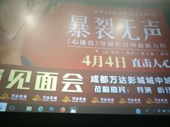 -万达影城(城中城广场IMAX店)