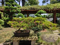 -南山植物园