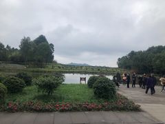 -邓小平故里