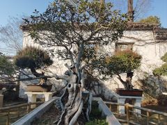-留园