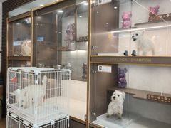 -翊宠yipet猫狗购宠庄园犬舍•猫舍