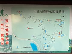 -天鹿湖森林公园