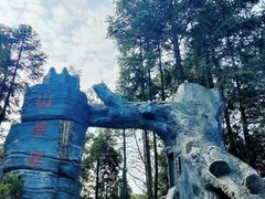 -梭布垭石林景区