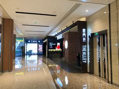 -鹿角巷The Alley(龙湖天街店)