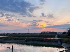 -渌洋湖湿地公园