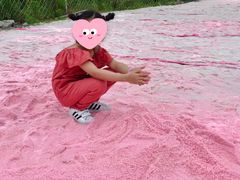 -大塘金香草谷