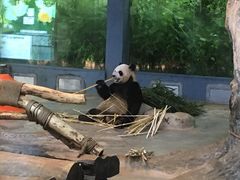 -海南热带野生动植物园