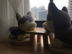 -Husky Go! 哈士奇体验馆·宠物咖啡厅狗咖