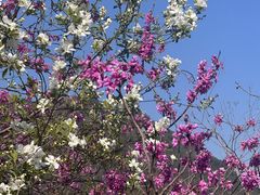 -天台山赤城山景区