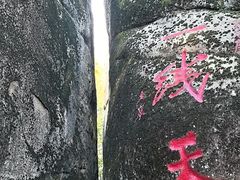 -汤旺河林海奇石景区