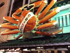 -蟹道乐(道顿堀本店)