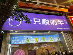 -一只酸奶牛(八一路店)