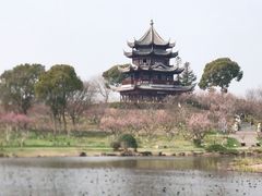 -上海海湾国家森林公园