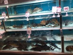 -盒马鲜生(枣园路店)