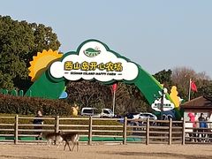 -苏州太湖西山岛开心农场