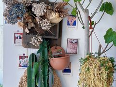 -AHAVA·Fang Baking Studio