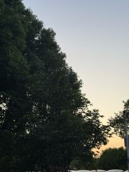 -剑鱼皮划艇俱乐部(石湖基地)