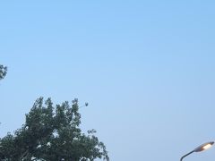-No.DD戳子烧烤·江湖菜(北京总店)