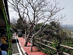 -海南铜鼓岭景区